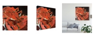 Trademark Global Erin Mcgee Ferrell Abstract Lobster V Canvas Art - 15" x 20"